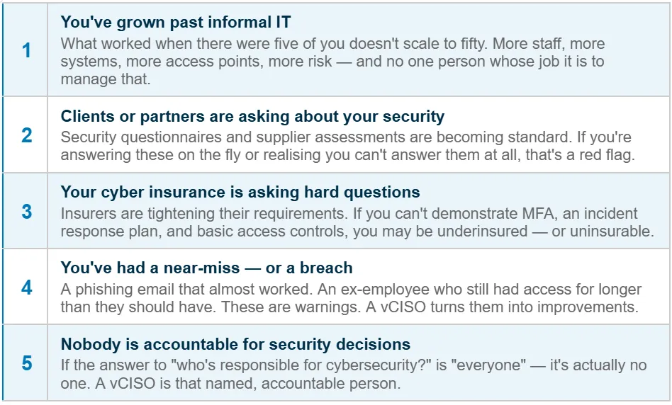 Business cybersecurity leadership through vCISO services for growing companies needing practical security guidance